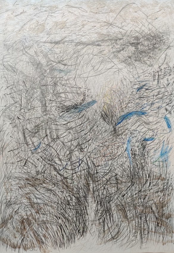 Jayashree Chakravarty,&nbsp;Wilderness,&nbsp;2020,&nbsp;Watercolour, graphite, charcoal, ink shell, acrylic on&nbsp; paper,&nbsp;39.25 x 27.75 in