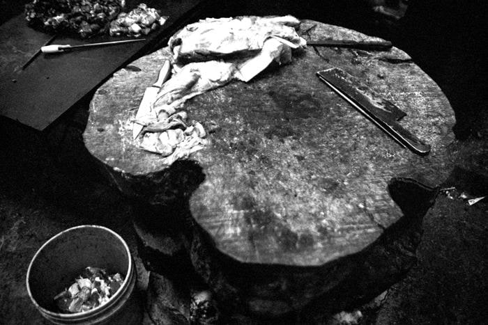 Sanjeet Chowdhury UNTITLED 15 (MEAT SERIES)