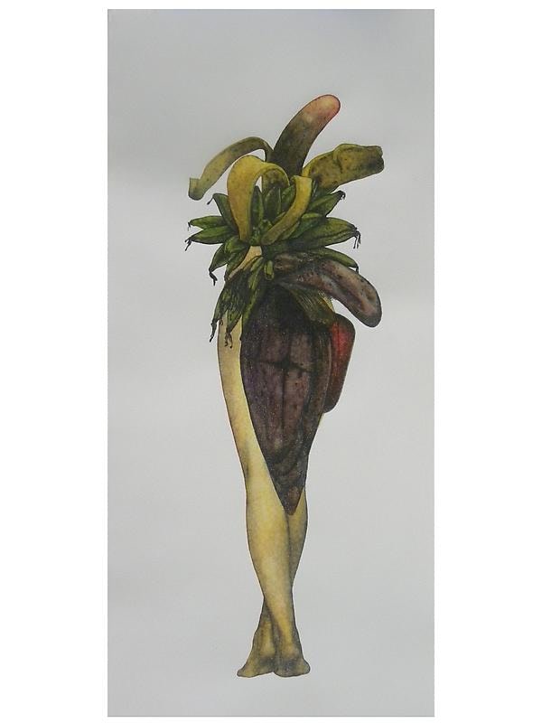 Avishek Sen LEGS &amp;amp; FRUIT