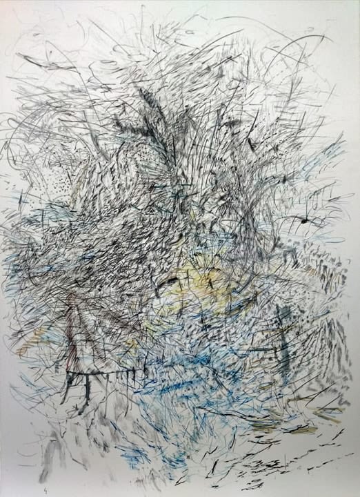 Jayashree Chakravarty,&nbsp;Nature&#039;s marks,&nbsp;2020,&nbsp;Watercolour, graphite, charcoal, ink, acrylic on paper,&nbsp;41.25 x 29.75 in