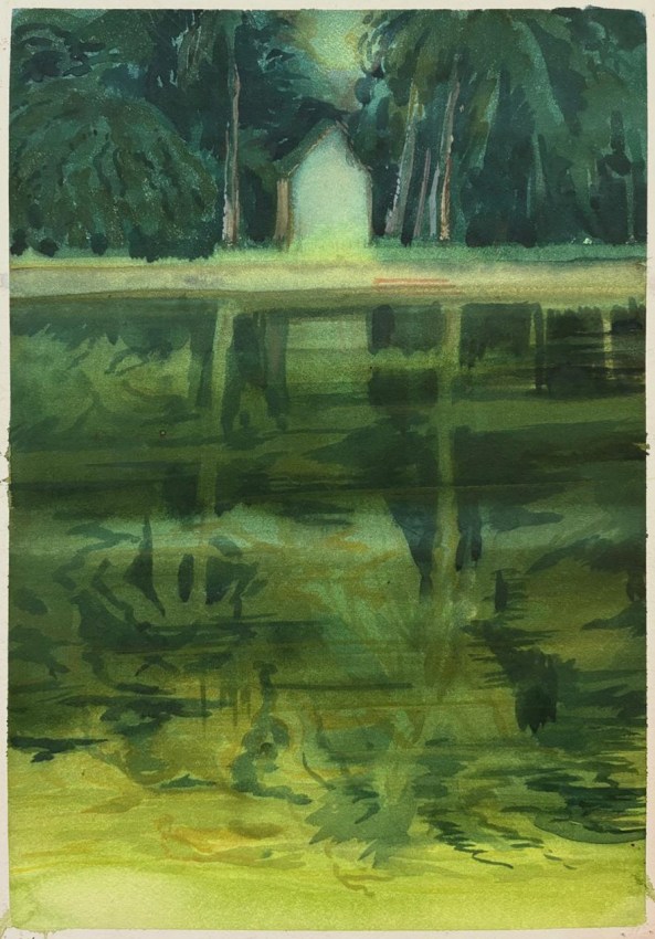 landscape in green tones