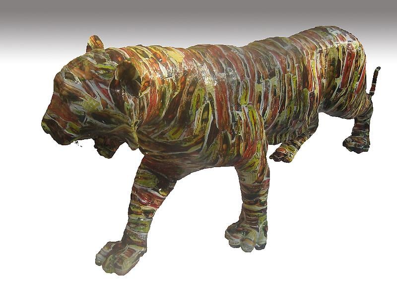 Debanjan Roy Year Of The Tiger - 1