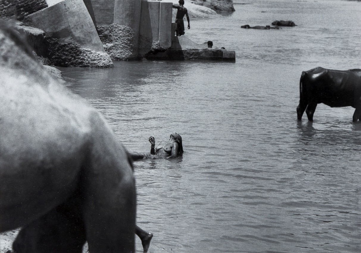 Vinod Dave works installed