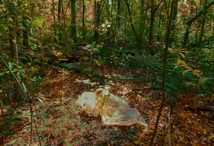 Sarah Ahmad From the series &#039;Bol&#039; (13)