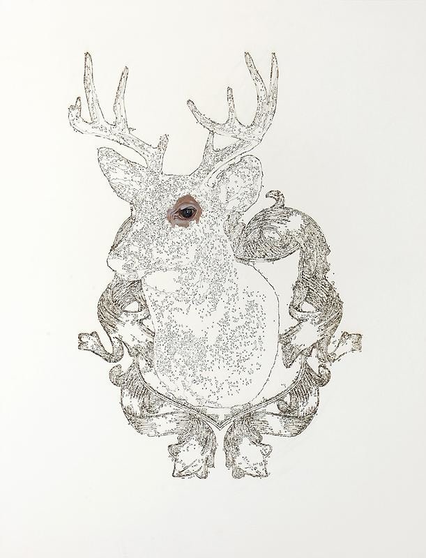 Muhammad Zeeshan SPECIAL SIRI SERIES 12 (STAG HEAD)