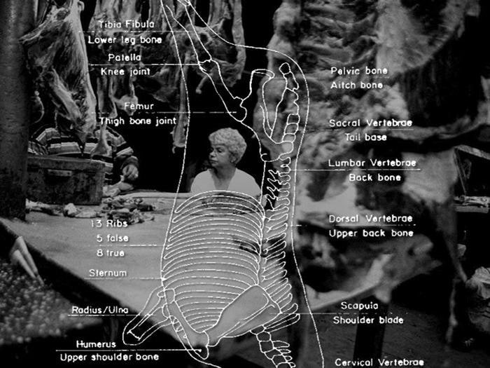 Sanjeet Chowdhury UNTITLED DVD (MEAT SERIES)