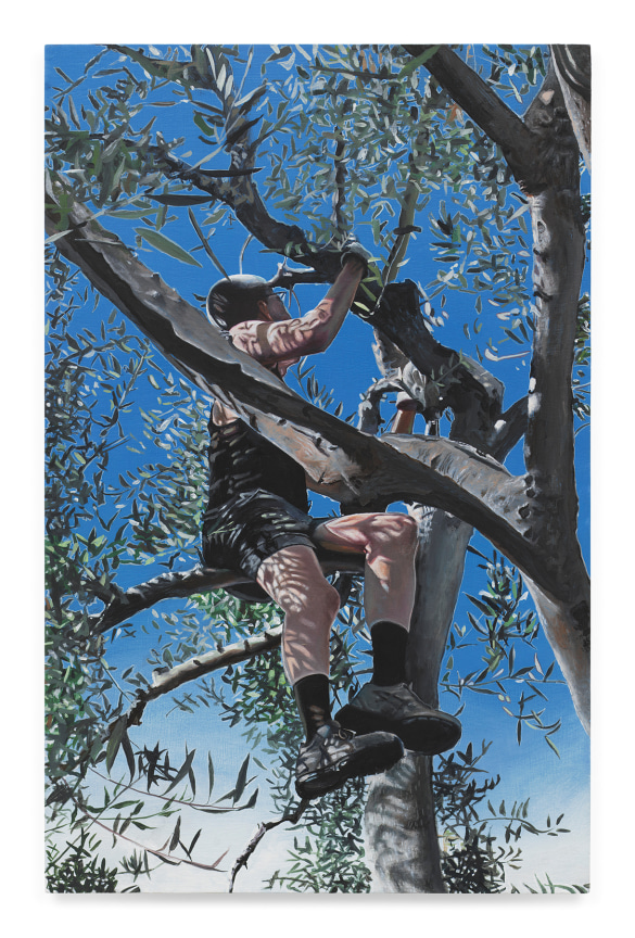 Olive Tree, 2024, Oil on panel, 9 3/4 x 6 1/4 inches, 24.8 x 15.9 cm, MMG#37695