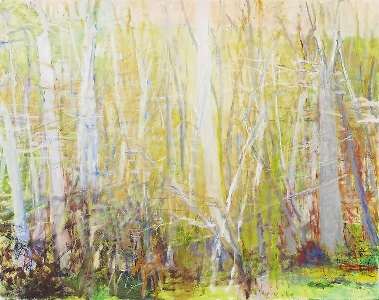 Order in Disorder, 2010, Oil on canvas, 52 1/2 x 66 inches, 133.4 x 167.6 cm, A/Y#19102