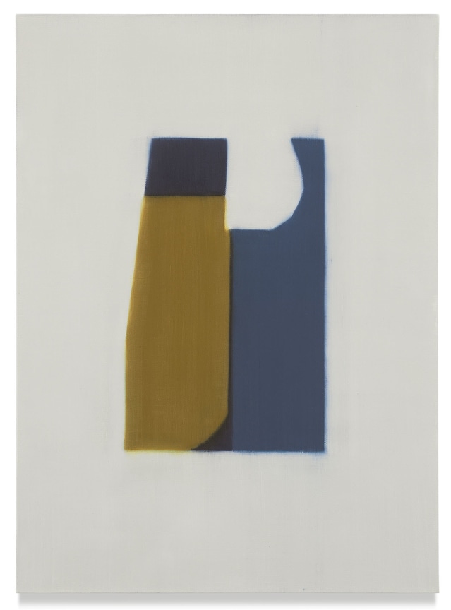 737 (paper), 2018,&nbsp;Oil on linen,&nbsp;30 x 22 inches,&nbsp;76.2 x 55.9 cm,&nbsp;MMG#30980