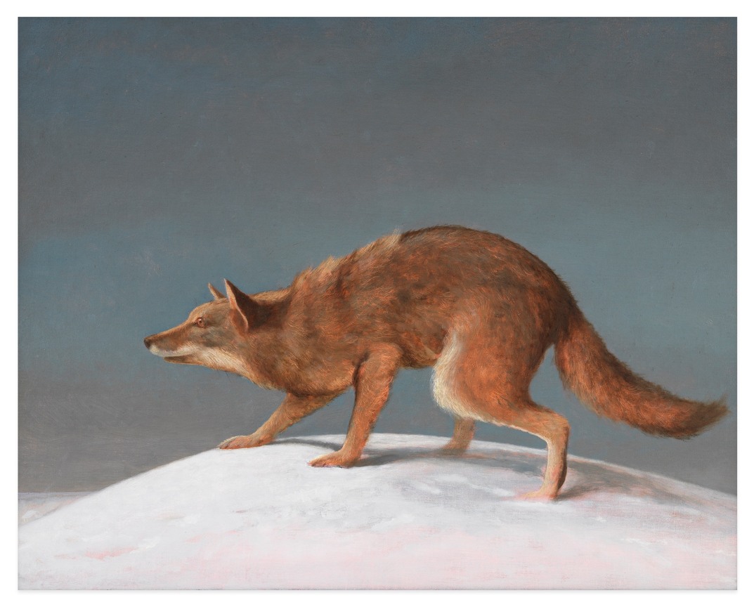 BO BARTLETT, Wolf Moon, 2022,&nbsp;Oil on panel, 24 3/4 x 30 3/4 inches, 62.9 x 78.1 cm,&nbsp;MMG#34265