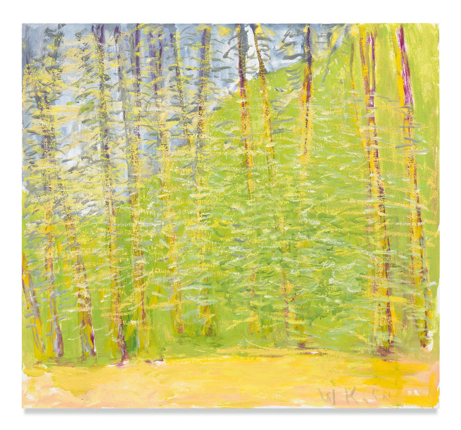 Spring Canvas, Almost a Square, 2018, Oil on canvas, 26 x 28 inches, 66 x 71.1 cm, MMG#30590