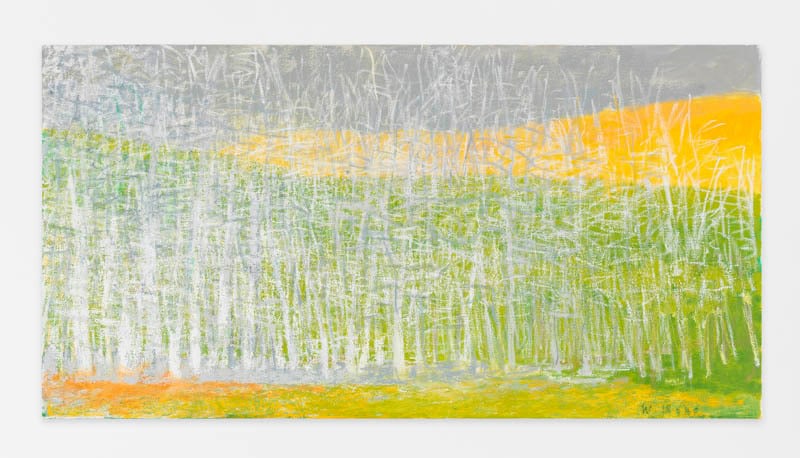 White Trees, Dense, 2014, Oil on canvas, 30 x 58 inches, 76.2 x 147.3 cm, AMY#22245