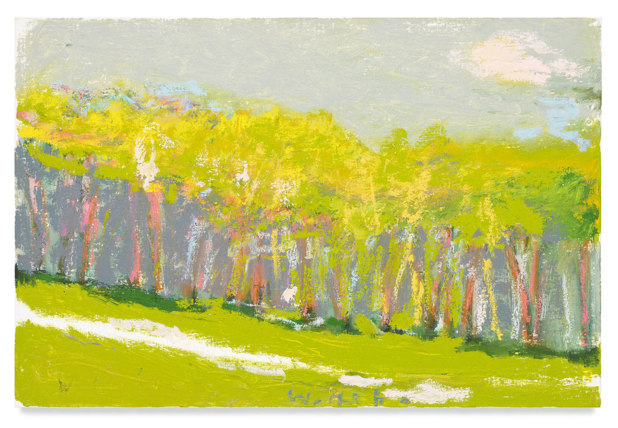 Yellow Trees Against a Gray Sky, 2017, Oil on canvas, 16 x 24 inches, 40.6 x 61 cm, MMG#29959