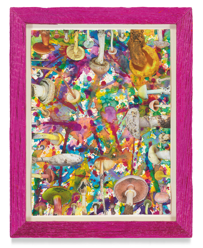 Untitled (SHRooMS), 2021, Watercolor and collage on paper with artist frame (reclaimed wood), 14 5/8 x 11 3/4 inches, 37.1 x 29.8 cm, MMG#33186