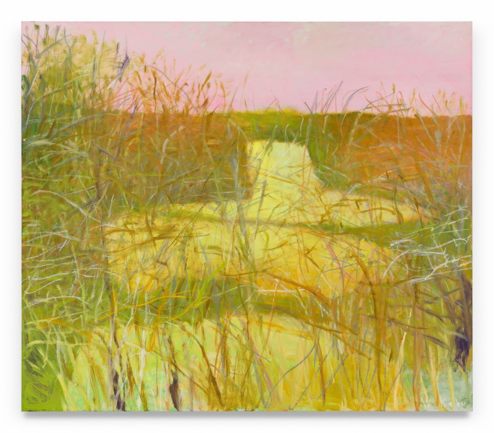 Uphill Yellow Field, 2008, Oil on canvas, 52 x 60 inches, 132.1 x 152.4 cm, MMG#37541