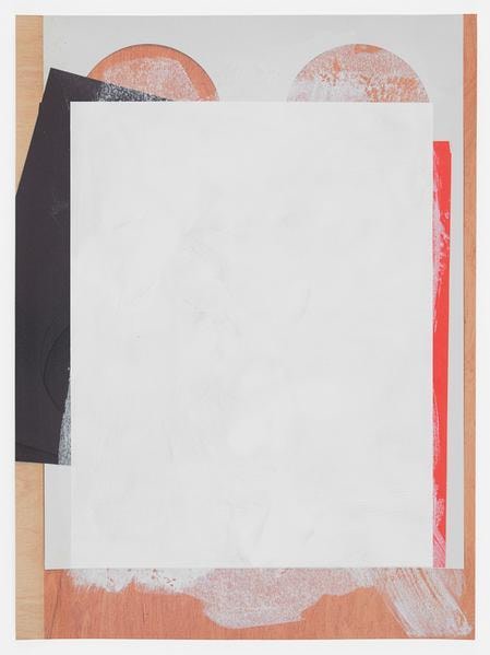 Untitled Composite, 2016, Oil and UV cured ink on paper, 30 x 22 inches, 76.2 x 55.9 cm, AMY#28530