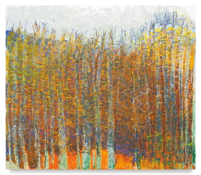 Growing from Orange Ground, 2016, Oil on canvas, 52 x 60 inches, 132.1 x 152.4 cm, AMY#28656