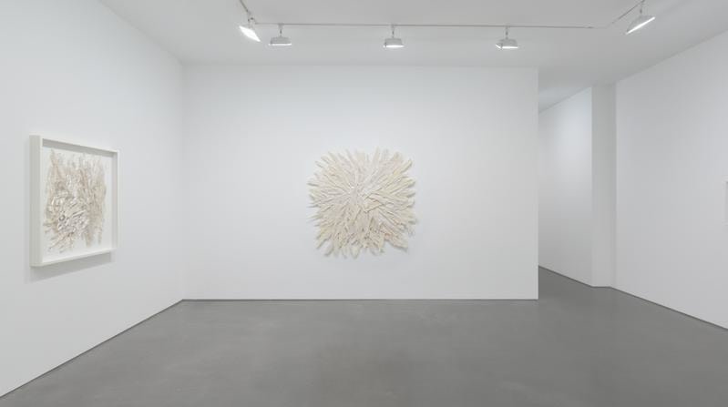 ROSANA CASTRILLO DIAZ