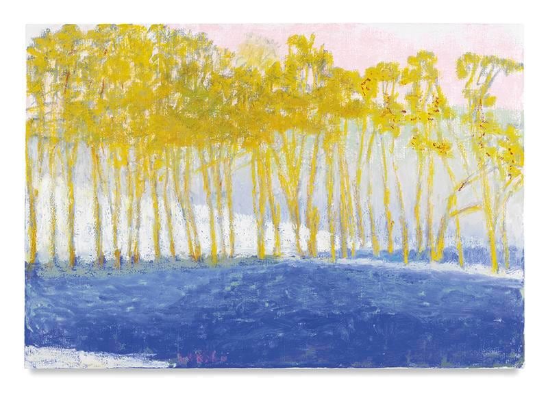 Rose-Colored Sky, 2017, Oil on canvas, 36 x 52 inches, 91.4 x 132.1 cm, AMY#28961