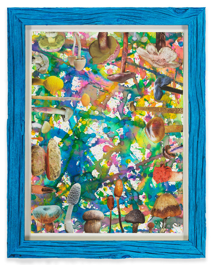 Untitled (SHRooMS), 2021, Watercolor and collage on paper with artist frame (reclaimed wood), 14 5/8 x 11 3/4 inches, 37.1 x 29.8 cm, MMG#33191