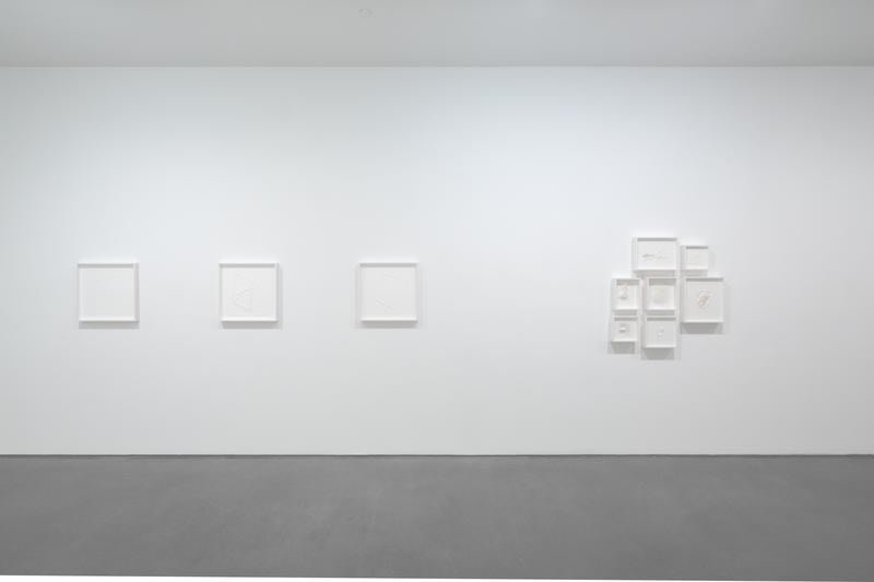 ROSANA CASTRILLO DIAZ