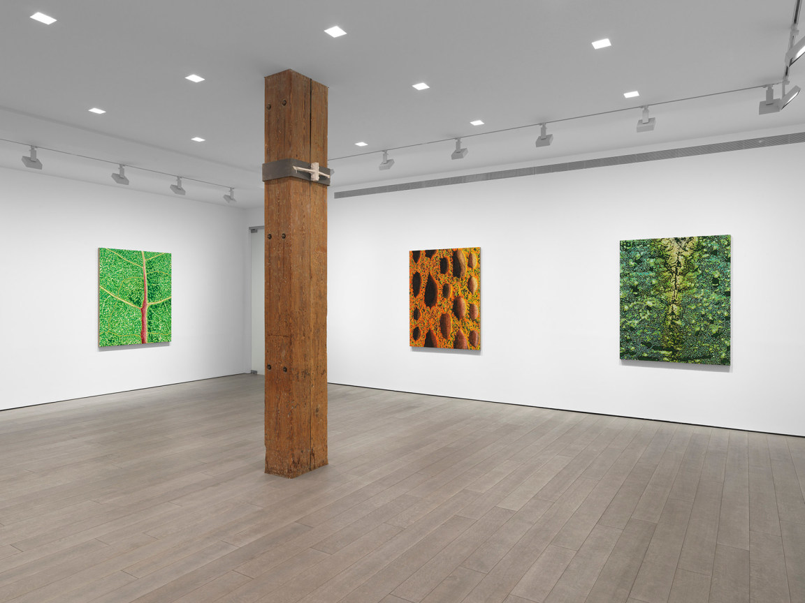 New York, NY: Miles McEnery Gallery, &ldquo;Douglas Melini: Under Your Skin and Over the Moon,&rdquo; 8 May - 21 June 2025.