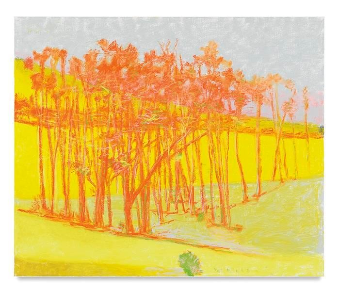 Warm, 2016, Oil on canvas, 50 x 60 inches, 127 x 152.4 cm, AMY#28658