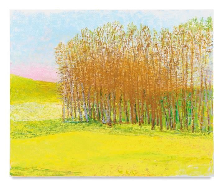 Weight on the Right, 2016, Oil on canvas, 46 x 55 3/4 inches, 116.8 x 141.6 cm, AMY#28615