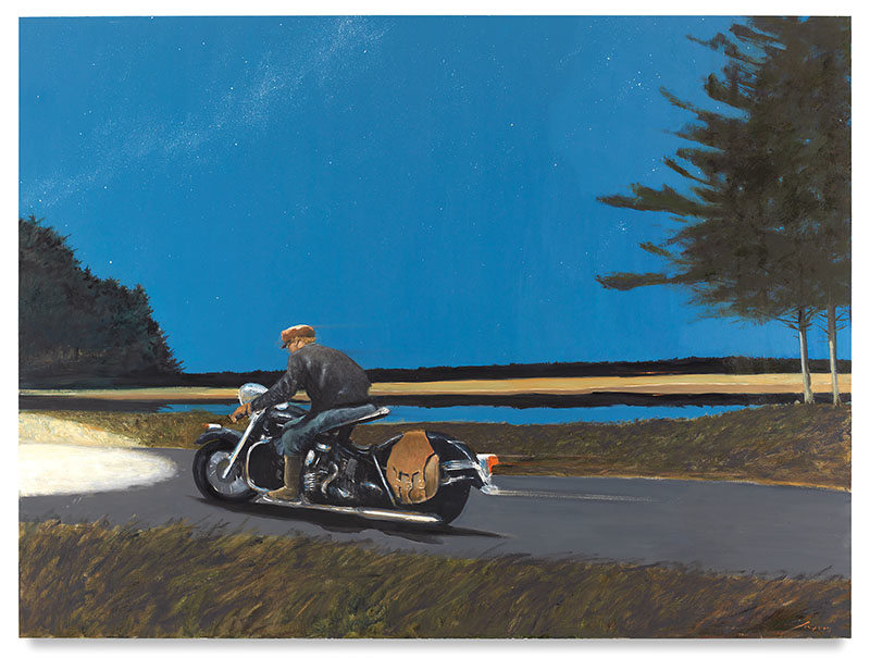 UFO, 2016, Oil on canvas, 72 x 96 inches, 182.9 x 243.8 cm, MMG#29874