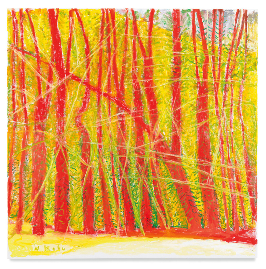 Redwoods, 2019, Oil on canvas, 52 x 52 inches, 132.1 x 132.1 cm, MMG#31167