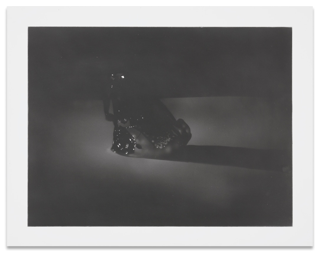 Wish You Were Here, 2018,&nbsp;Graphite on paper,&nbsp;11 x 14 inches,&nbsp;27.9 x 35.6 cm,&nbsp;MMG#30137