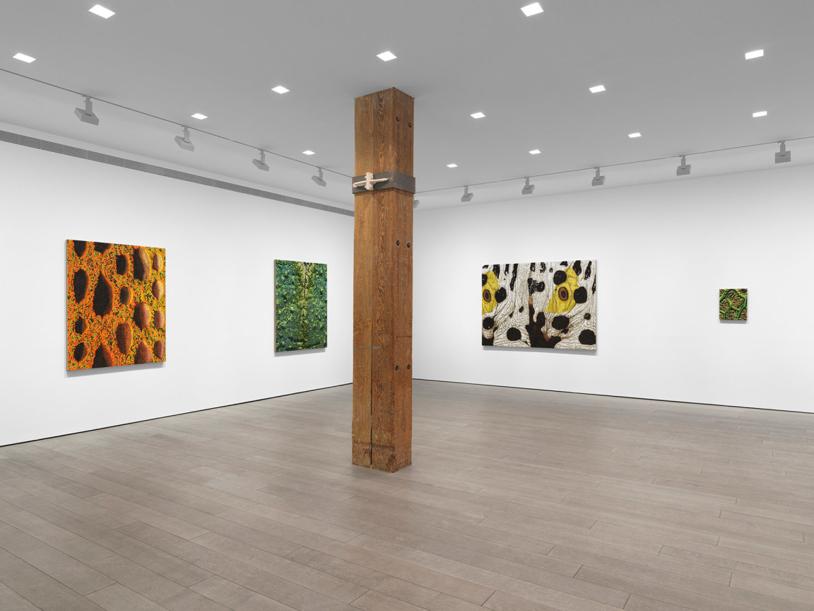 New York, NY: Miles McEnery Gallery, &ldquo;Douglas Melini: Under Your Skin and Over the Moon,&rdquo; 8 May - 21 June 2025.