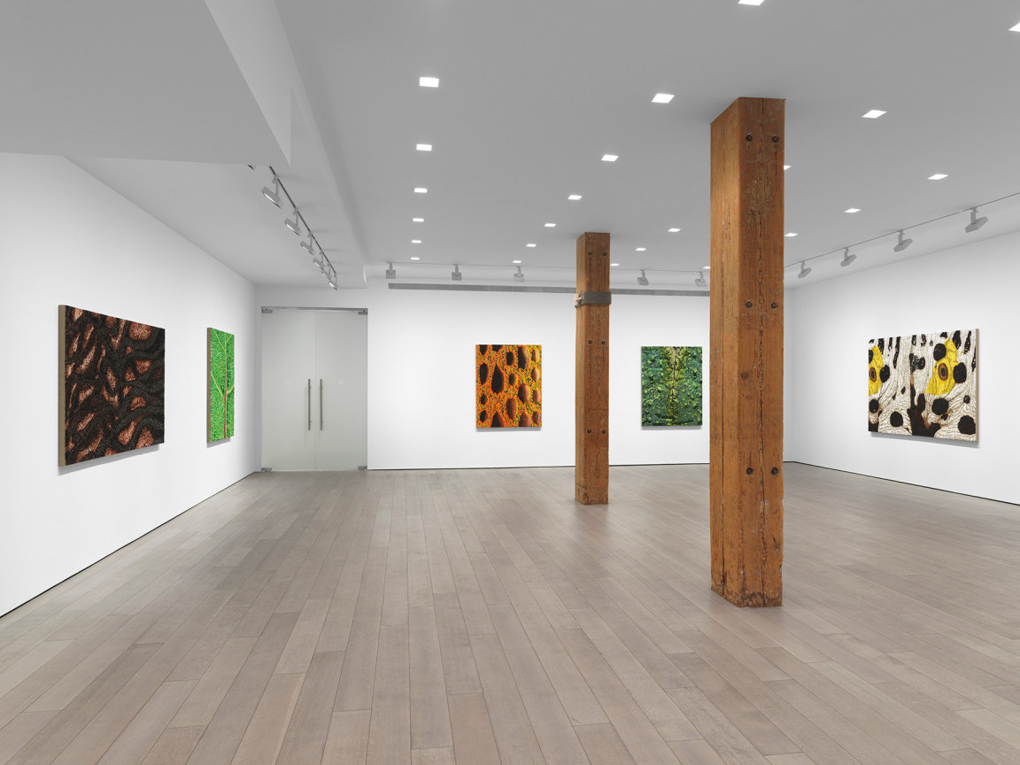 New York, NY: Miles McEnery Gallery, &ldquo;Douglas Melini: Under Your Skin and Over the Moon,&rdquo; 8 May - 21 June 2025.