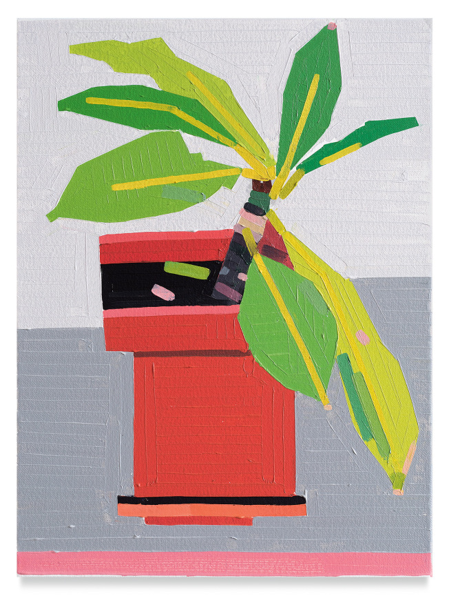 Guy Yanai, Roof Balcony Plant, 2019