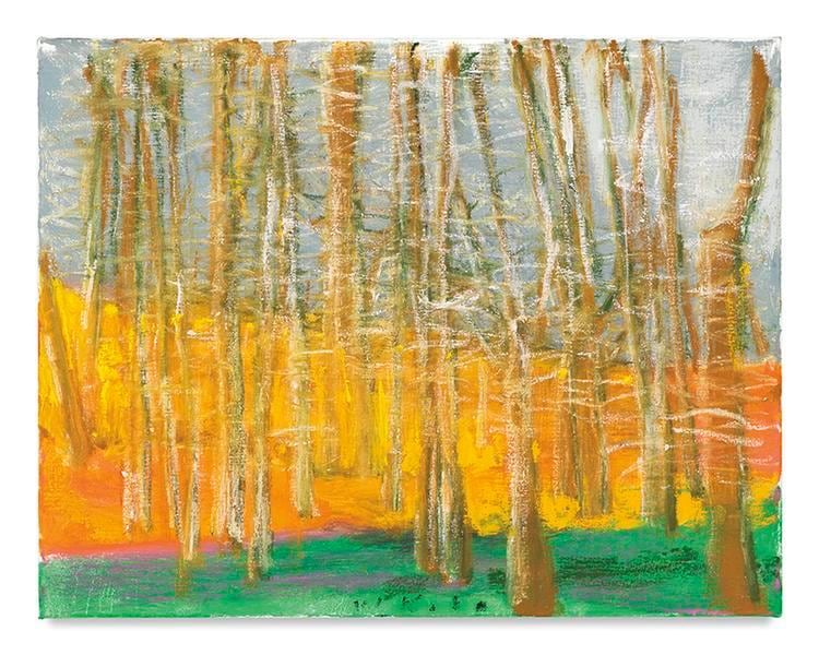 Through to the Hillside, 2016, Oil on canvas, 22 x 28 inches, 55.9 x 71.1 cm, AMY#28186