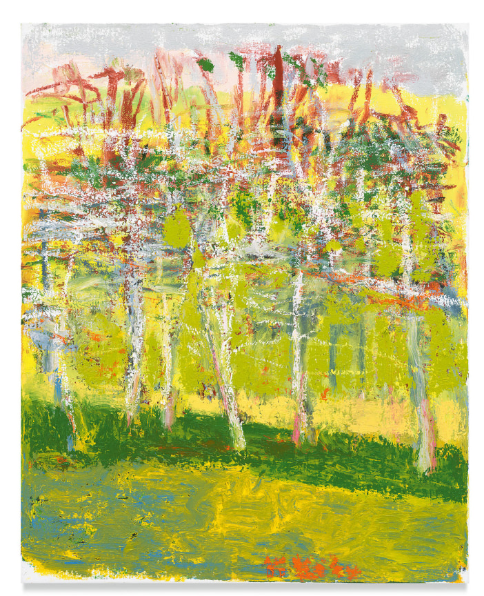 White Web, 2018, Oil on canvas, 25 x 20 inches, 63.5 x 50.8 cm, MMG#30595