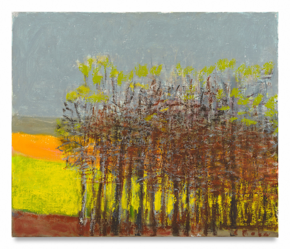 Small Orange Spot, 2015, Oil on canvas, 22 x 26 inches, 55.9 x 66 cm, MMG#37949