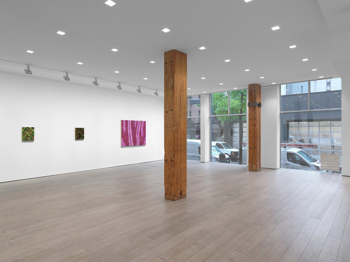 New York, NY: Miles McEnery Gallery, &ldquo;Douglas Melini: Under Your Skin and Over the Moon,&rdquo; 8 May - 21 June 2025.