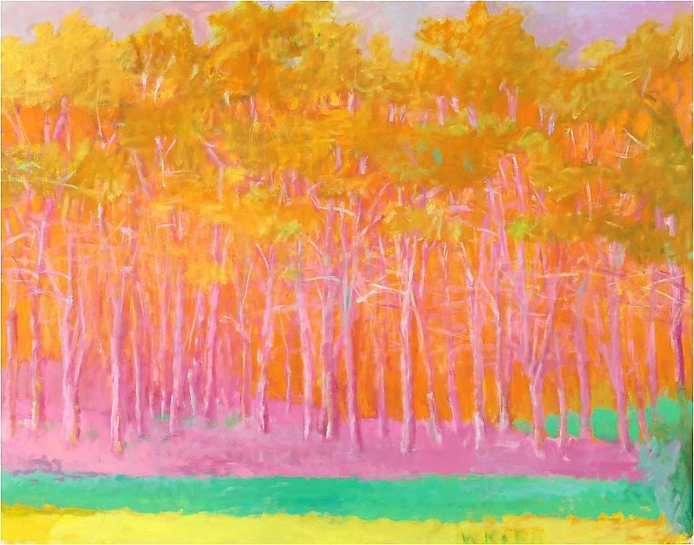 Strong Color, 1993, Oil on canvas, 52 x 66 inches, 132.1 x 167.6 cm, A/Y#21528