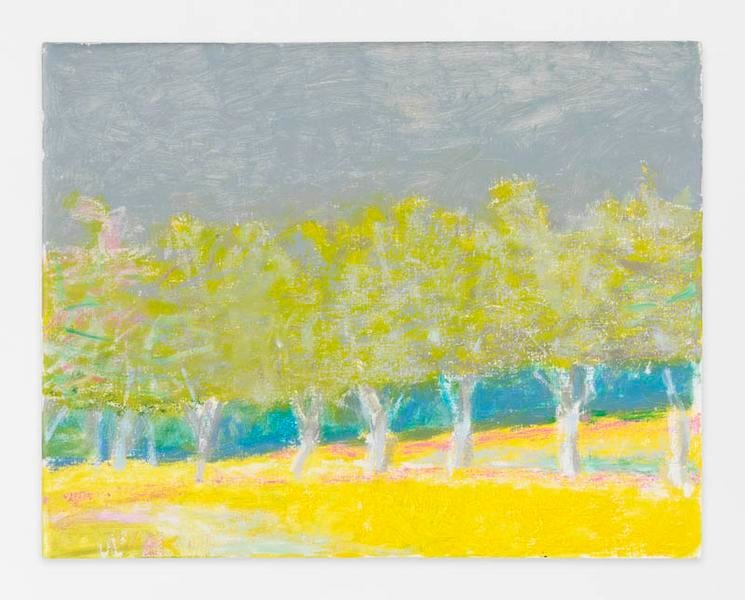 Two Yellow Greens Against Gray Sky, 2014, Oil on canvas, 22 x 28 inches, 55.9 x 71.1 cm, AMY#22399