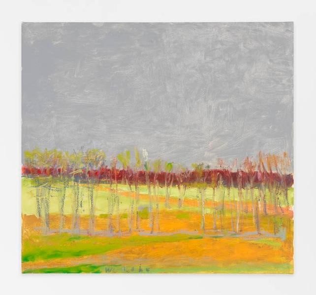 Broad Gray Sky, 2014, Oil on canvas, 24 x 26 inches, 61 x 66 cm, AMY#22136