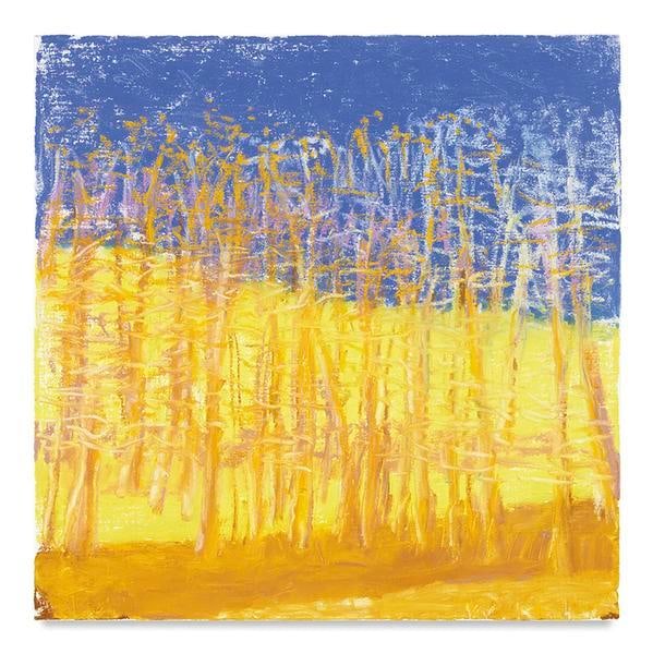 Diagonal Bands, 2016, Oil on canvas, 24 x 24 inches, 61 x 61 cm, AMY#28619