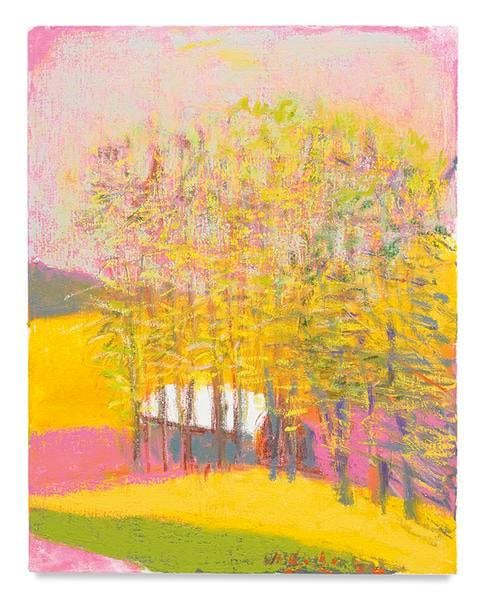 Improbable Pink Sky, 2016, Oil on canvas, 28 x 22 inches, 71.1 x 55.9 cm, AMY#28769