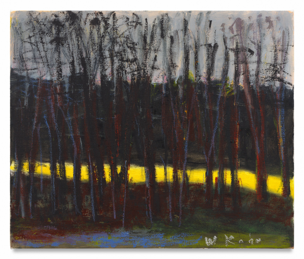 Black Trees, 2011, Oil on canvas, 20 x 24 inches, 50.8 x 61 cm, MMG#37945