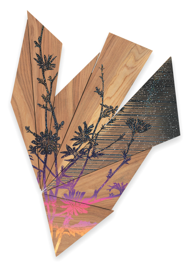 Night Chicory, 2022, Acrylic on elm, 34 1/2 x 25 5/8 x 2 1/4 inches, 87.6 x 65.1 x 5.7 cm, MMG#34345