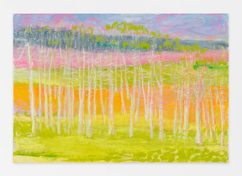 Young Growth III, 2015, Oil on canvas, 36 x 52 inches, 91.4 x 132.1 cm, AMY#22401