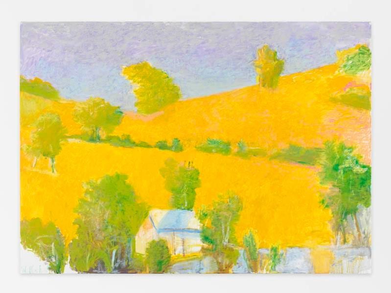 Sauna Cabin (Large Version), 2014, Oil on canvas, 52 x 72 inches, 132.1 x 182.9 cm, AMY#22147