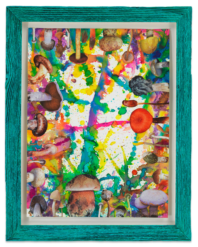 Untitled (SHRooMS turquoise frame), 2020, Watercolor and collage on paper with artist frame (reclaimed wood), 14 3/4 x 11 3/4 inches, 37.5 x 29.8 cm, MMG#32886