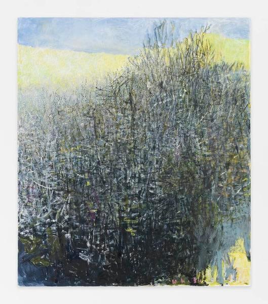 Yellow Horizon, 2014, Oil on canvas, 60 x 52 inches, 152.4 x 132.1 cm, AMY#22400