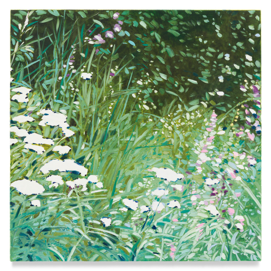 Queen Anne&#039;s Lace, 2022, Mixed media oil on canvas, 17 x 17 inches, 43.2 x 43.2 cm, MMG#34074